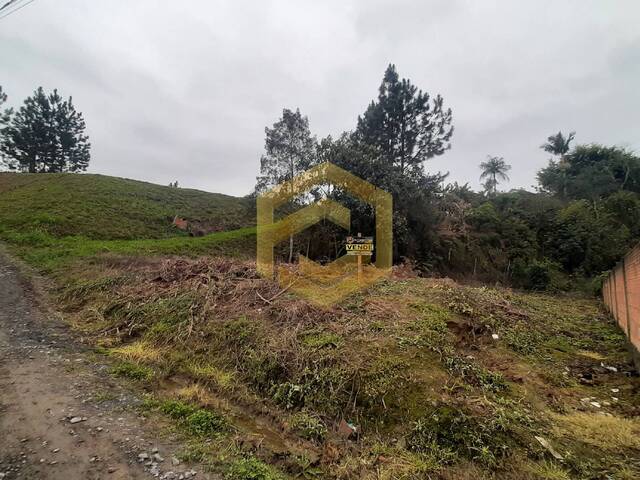 Terreno para Venda em Rio do Oeste - 5